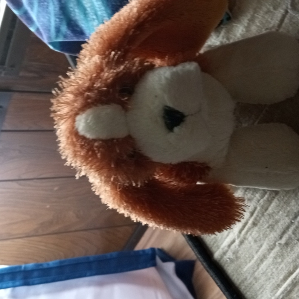 Lilkinz Webkinz basset hound dog